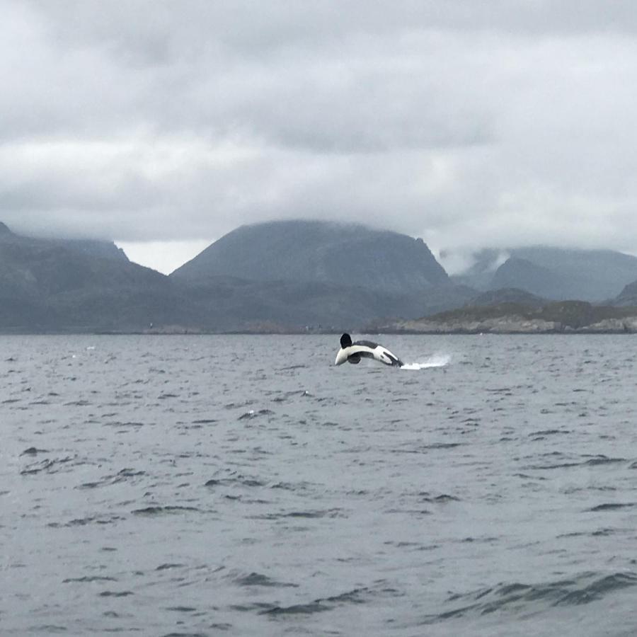 Fishermans Rorbu 1 - Lofoten Ramberg Dış mekan fotoğraf